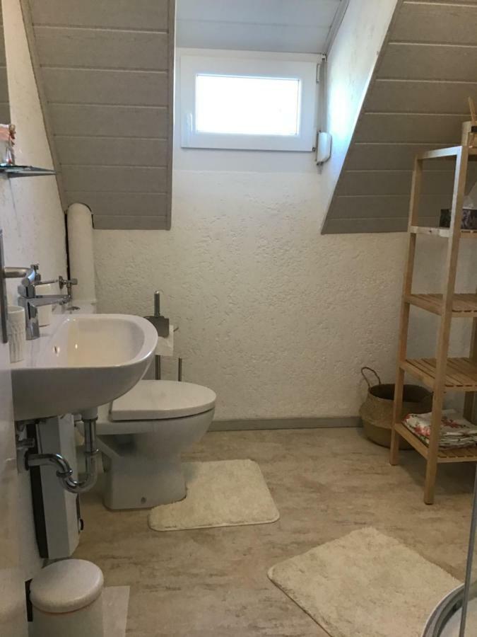 Ferienwohnung Elina Maxhutte-Haidhof Bagian luar foto